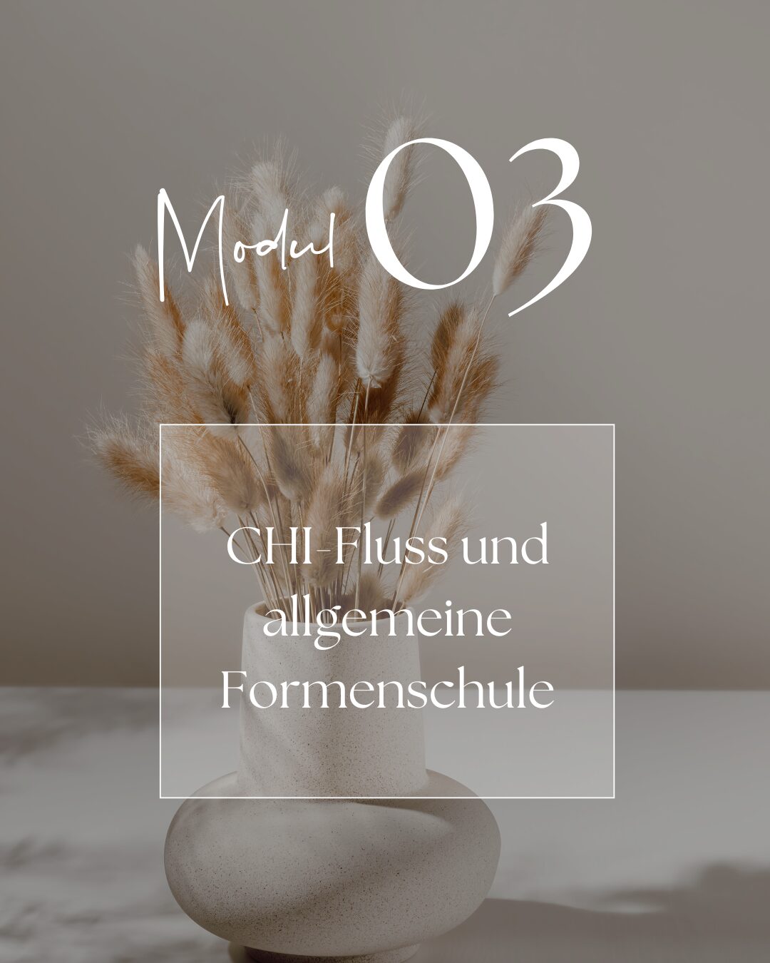 LIVIFULL Akademie Modul3